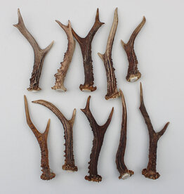 11 stangetjes REE GEWEI 15-20 cm - Ref. B