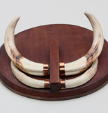 Tanden WRATTENZWIJN op hardhouten schild