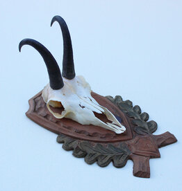 GEMS hoorns / gewei op fraai bewerkt schild - ref. EE