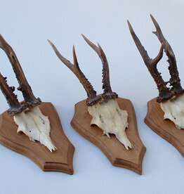 3 x REE GEWEI op houten schild -  set C
