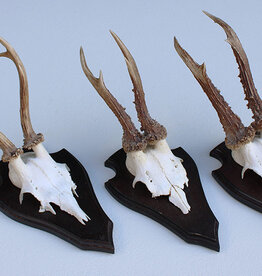 3 x REE GEWEI op houten schild -  set J
