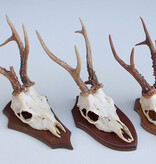 3 x groot REE GEWEI op houten schild