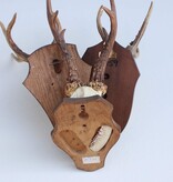 3 x groot REE GEWEI op houten schild