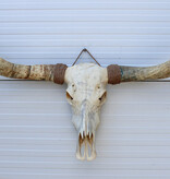 Grote schedel TEXAS STYLE LONGHORN 160 cm