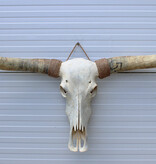 Grote schedel TEXAS STYLE LONGHORN 141 cm