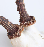 Zesender REE GEWEI  - schedel - 370 gr