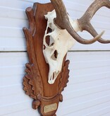 Groot Hongaars DAMHERT GEWEI op bewerkt houten schild