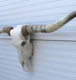 Grote schedel TEXAS STYLE LONGHORN 170 cm