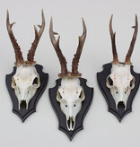 3 x groot REE GEWEI op houten schild