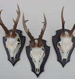 3 x groot REE GEWEI op houten schild