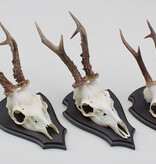 3 x groot REE GEWEI op houten schild