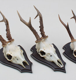 3 x groot REE GEWEI op houten schild -  set H