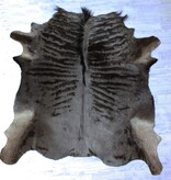 Zgan VEL GESTREEPTE GNU / WILDEBEEST