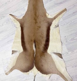 Vel SPRINGBOK antilope - ref. B