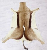 Vel SPRINGBOK antilope