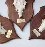 3 x zesender REE GEWEI op groot eikenhouten schild