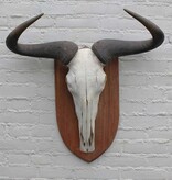 Schedel getreepte GNU / WILDEBEEST op schild