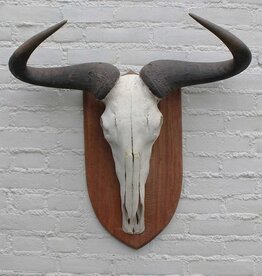Schedel GNU / WILDEBEEST op schild - ref. D