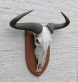 Schedel getreepte GNU / WILDEBEEST op schild
