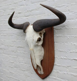 Schedel getreepte GNU / WILDEBEEST op schild