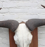 Schedel getreepte GNU / WILDEBEEST op schild