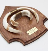 Groot schild tanden EVERZWIJN / WILD ZWIJN