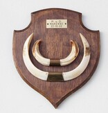 Groot schild tanden EVERZWIJN / WILD ZWIJN