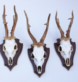 3 x Pools zesender REE GEWEI op houten schild