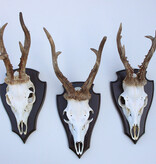 3 x Pools zesender REE GEWEI op houten schild