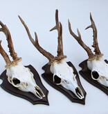 3 x Pools zesender REE GEWEI op houten schild