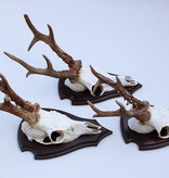 3 x Pools zesender REE GEWEI op houten schild