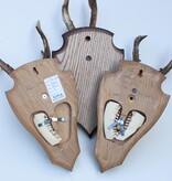 3 x Pools zesender REE GEWEI op houten schild