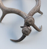 2 grote DAMHERT GEWEI STANGEN - afwerp - 70 cm