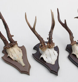 3 x REE GEWEI op houten schild -  set Y