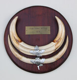 Tanden WRATTENZWIJN op hardhouten schild