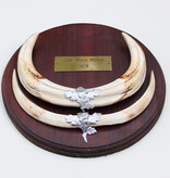 Tanden WRATTENZWIJN op hardhouten schild