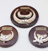 3 x schild tanden EVERZWIJN / WILD ZWIJN - Premich Beieren