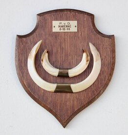 Groot schild tanden EVERZWIJN / WILD ZWIJN - ref.  L