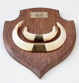 Groot schild tanden EVERZWIJN / WILD ZWIJN