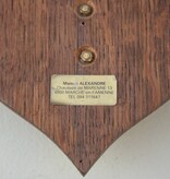 Groot schild tanden EVERZWIJN / WILD ZWIJN