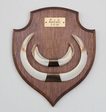 Groot schild tanden EVERZWIJN / WILD ZWIJN