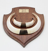 Groot schild tanden EVERZWIJN / WILD ZWIJN