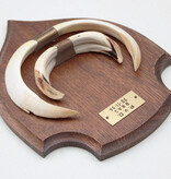 Groot schild tanden EVERZWIJN / WILD ZWIJN