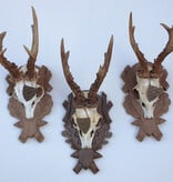 3 x zesender REE GEWEI met jacht medaille op bewerkt houten schild