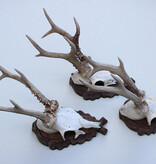 3 x zesender REE GEWEI op bewerkt houten schild