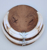 Tanden WRATTENZWIJN op wortelhouten schild