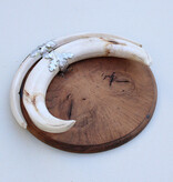 Tanden WRATTENZWIJN op wortelhouten schild