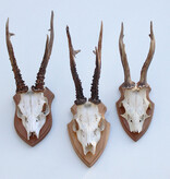 3 x zesender REE GEWEI op houten schild