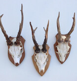 3 x zesender REE GEWEI op houten schild