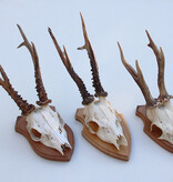 3 x zesender REE GEWEI op houten schild